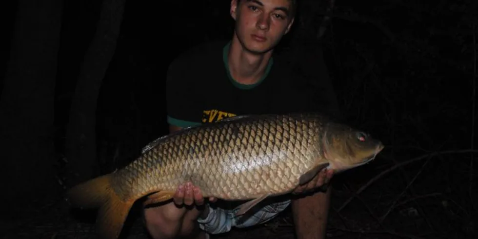 Vikend na Malom Dunaji