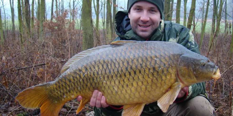 První letošní pro Sajmona