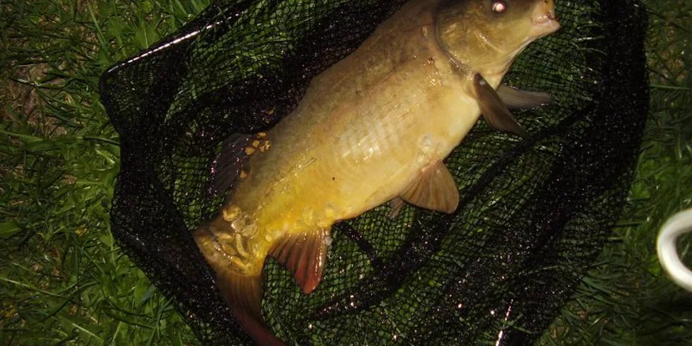 Krátká výpravička