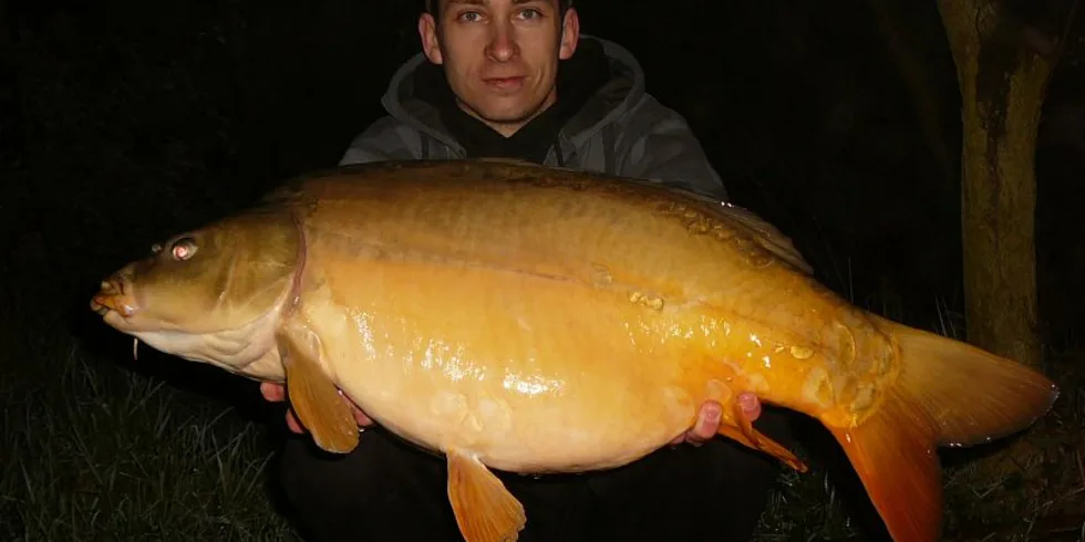 První týden v květnu