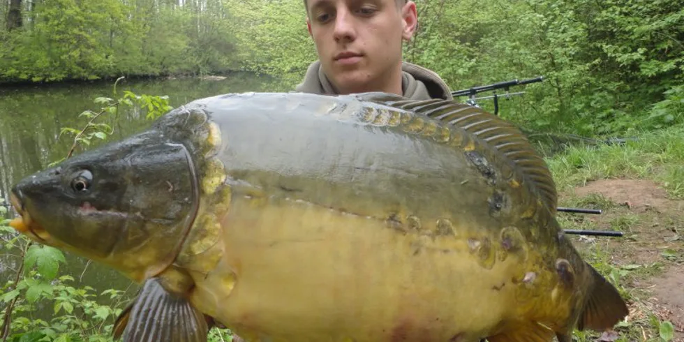 Další úspěch na Kill Krill