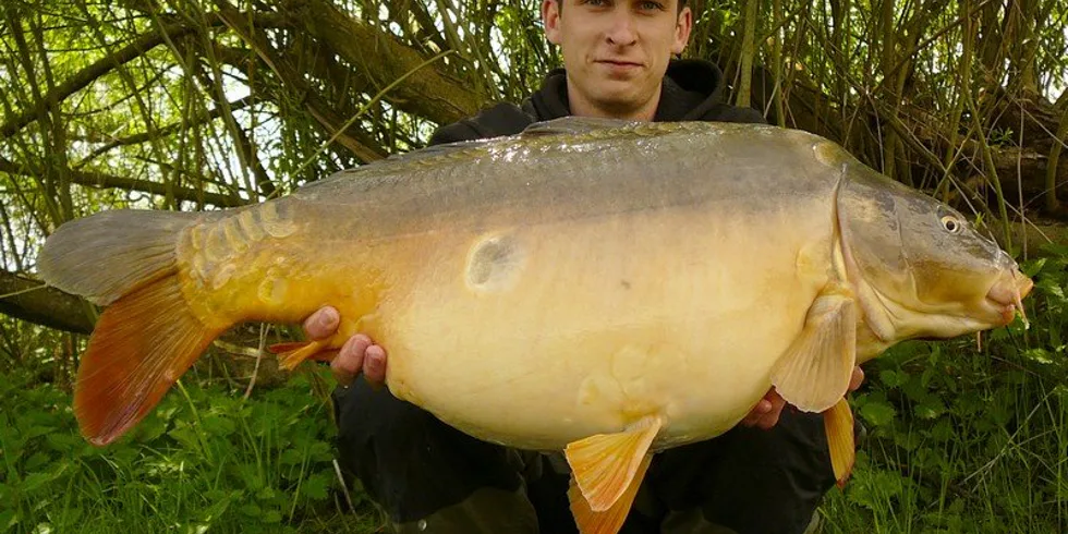 Matěj Šole a jeho eso v rukávu