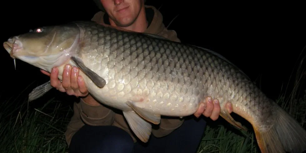 Skvělý výsledek z pískovny...