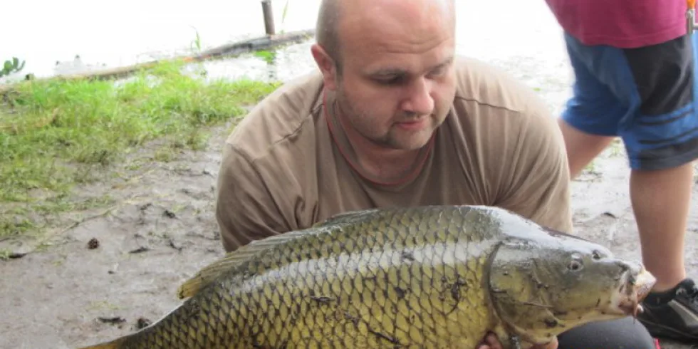 Krillberry v akci...