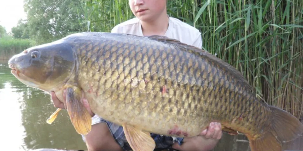 Úspěch z pískovny