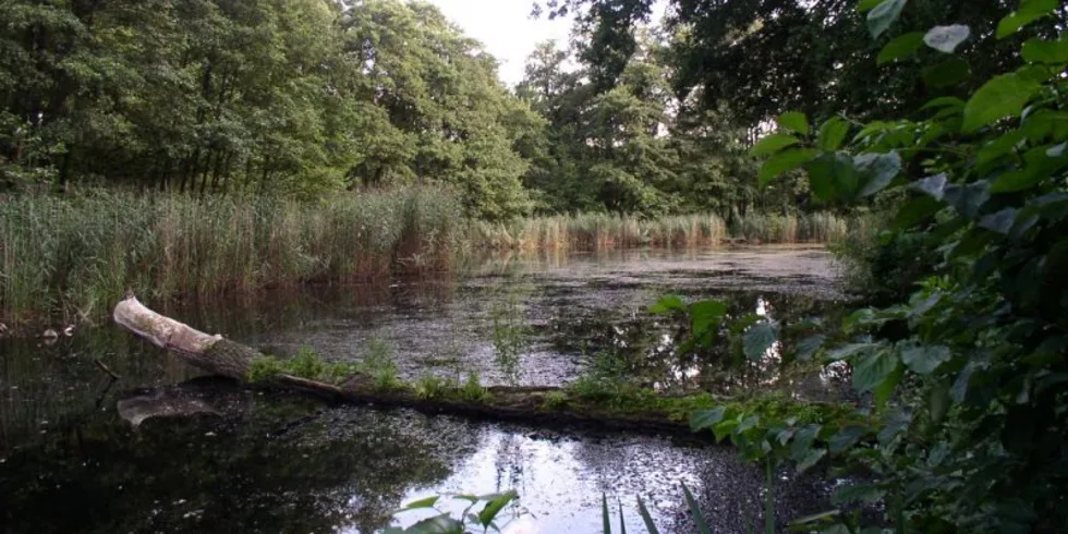 Víkend s nacucaným Oceanem