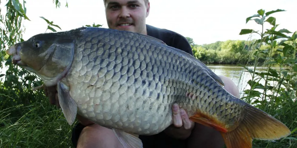 Jednodenní výprava na Labi
