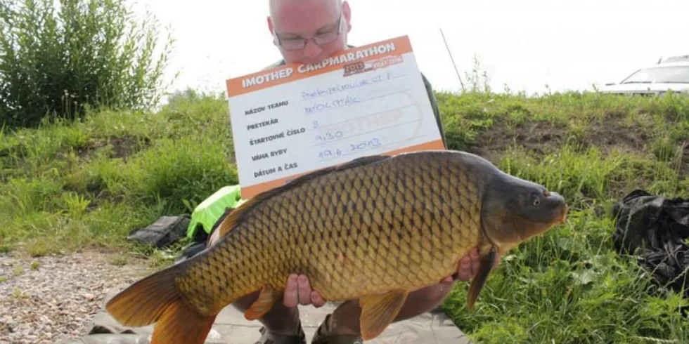 Imothep Carp Marathon