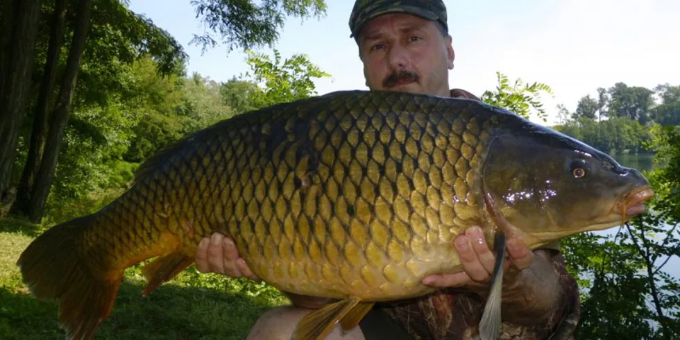 Až v červnu poprvé...