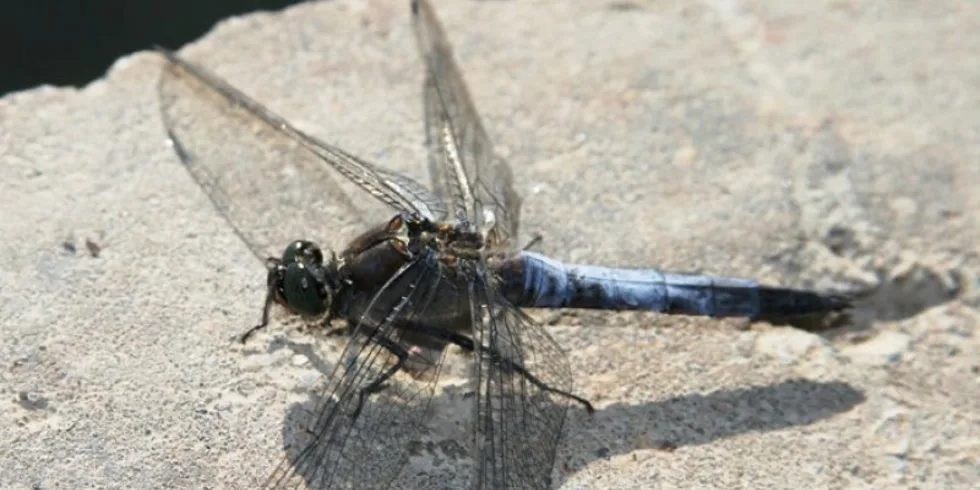 Rybaření s rodinou...