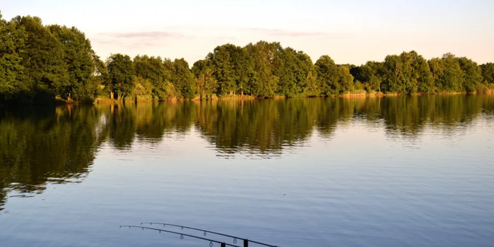 Prázdninový relax na jihu