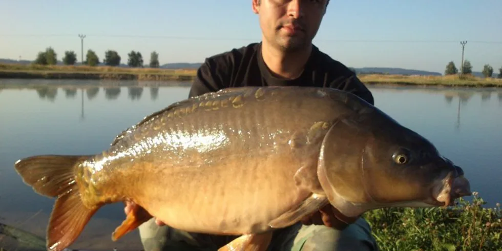 Velkolepá série na pískovně...