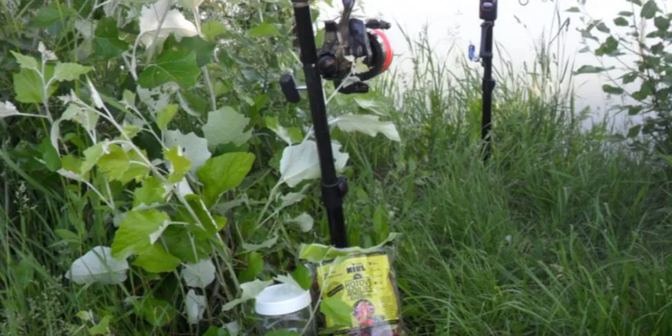 Ze začátku sezony...