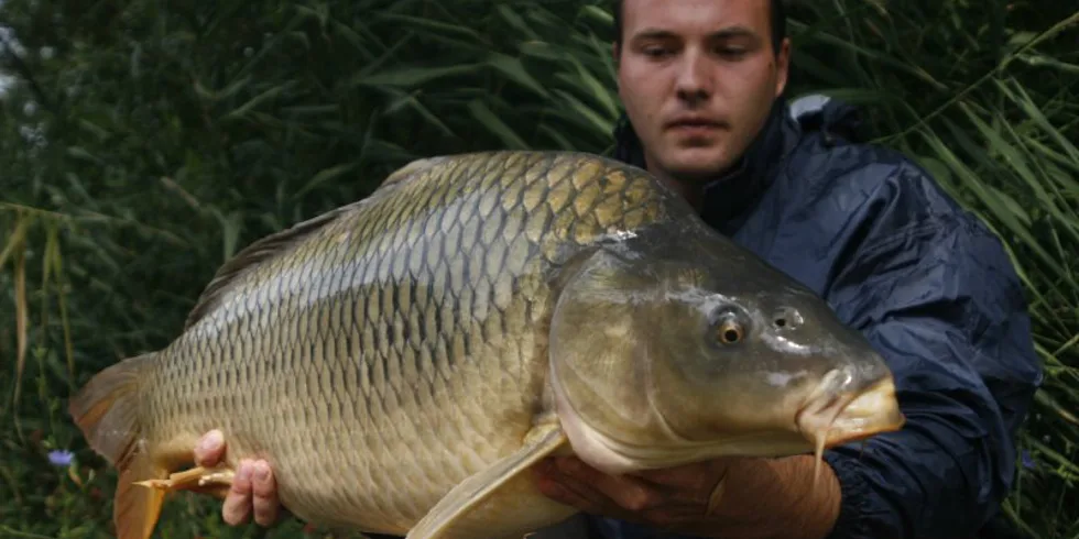 Lukáš s parťákem v Maďarsku