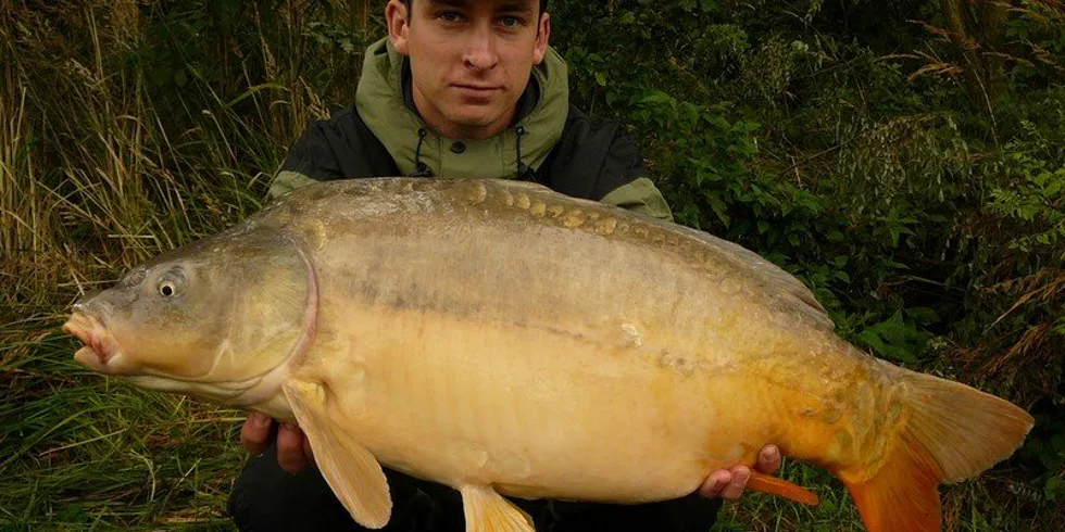 Nový osobák pro Matěje!