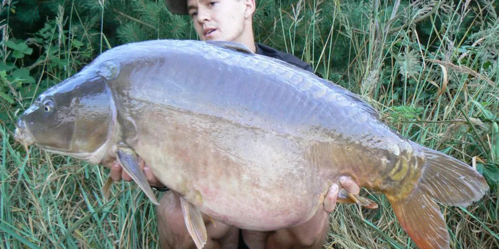 Dva dny na pískovně...