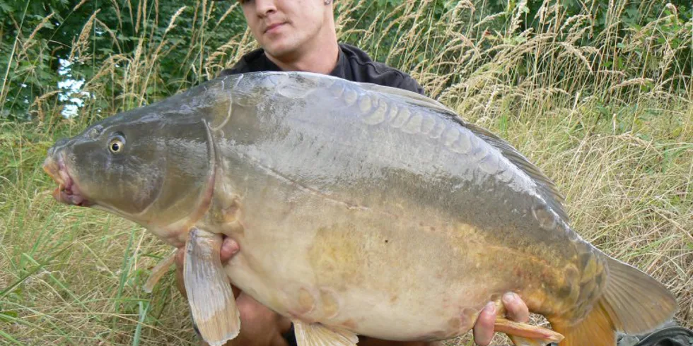 Krátká zpráva z pískovny