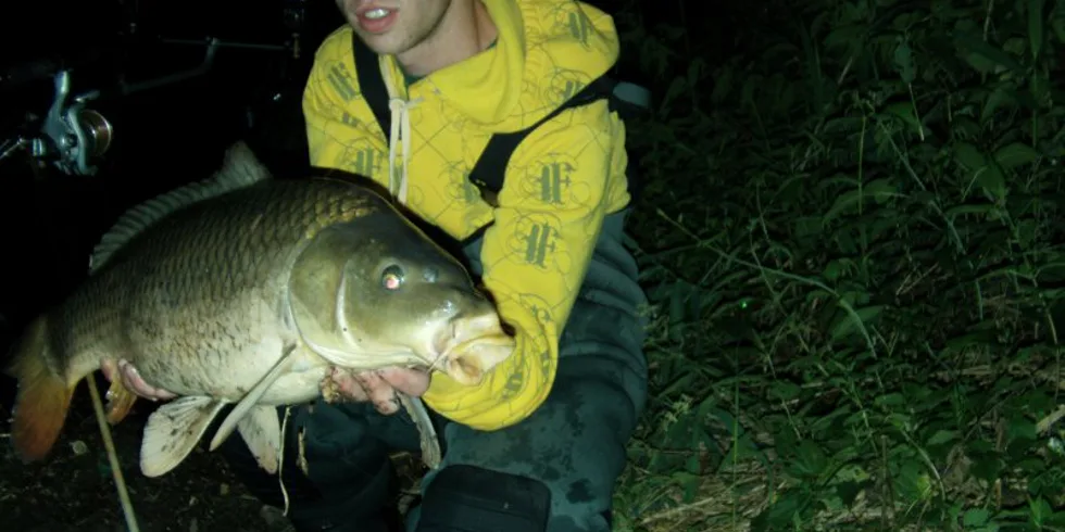 Jednodenní výprava...