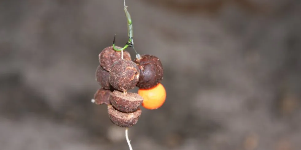 Po půl roce u vody...