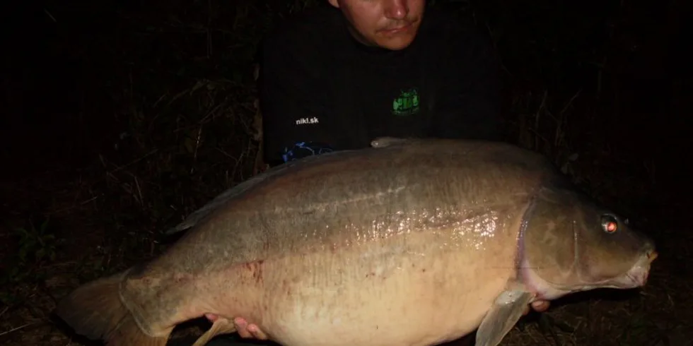 Shledání se starým známým