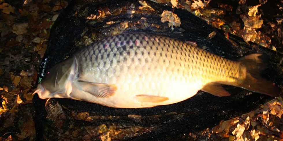 Z jednodenní vycházky...