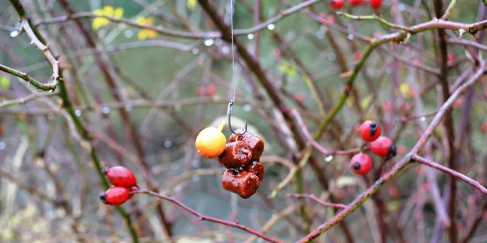 Když zima přichází