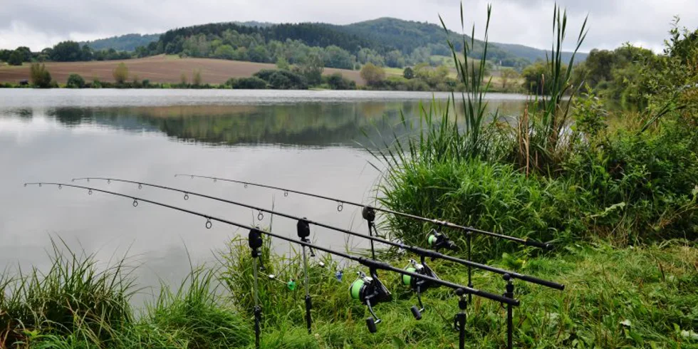 Jedna ze vzpomínek konce léta..