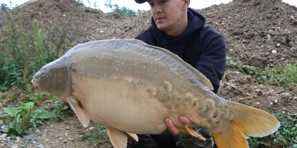 Honzův konec října