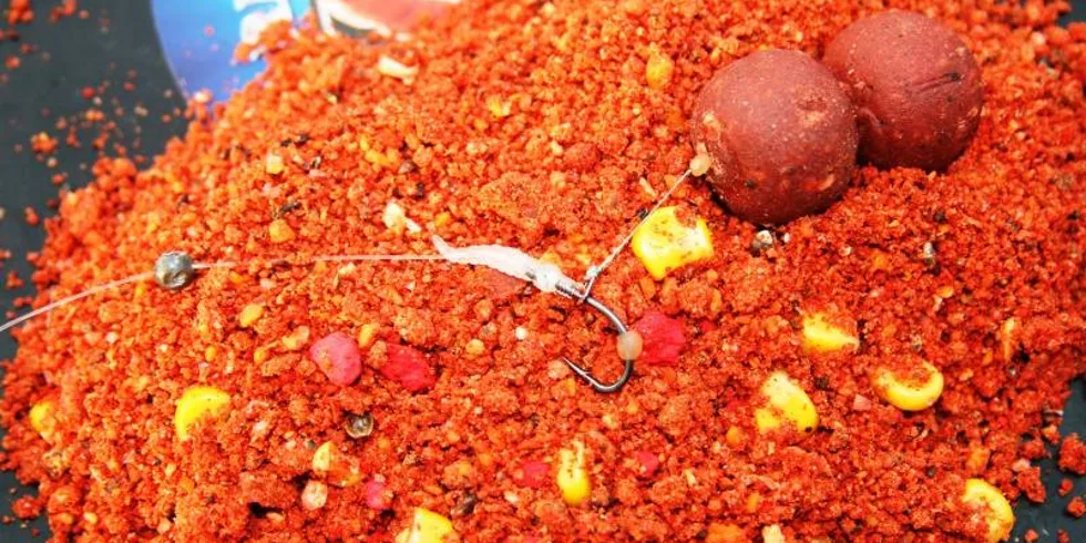 Honzův konec listopadu...