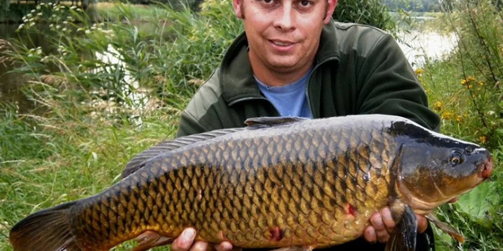 Ohlédnutí za rokem 2013