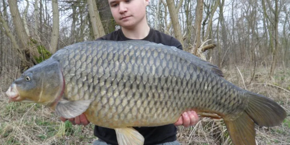 Druhá vycházka a znovu úspěšná