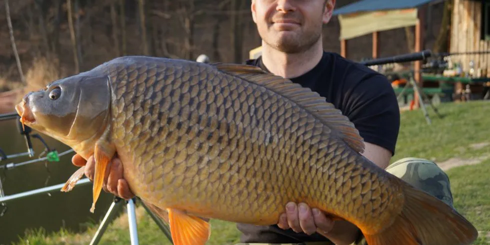 Úspěch s KrillBerry