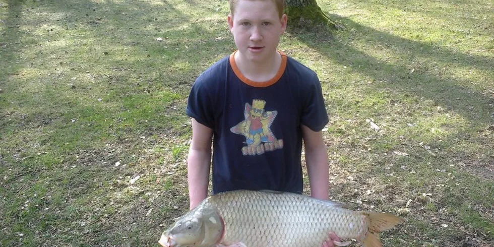 Dominikova výprava snů