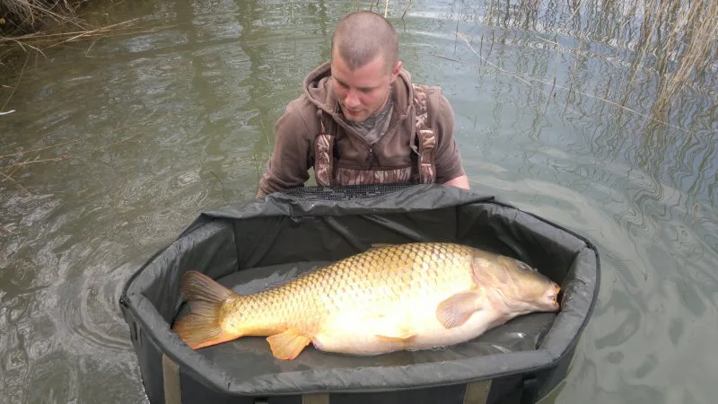 Márošákův další zářez