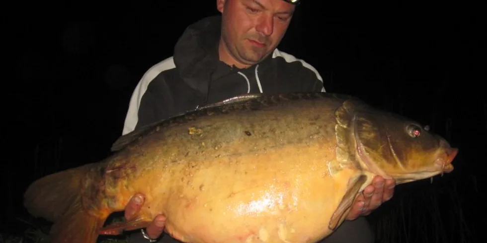 KrillBerry opět boduje