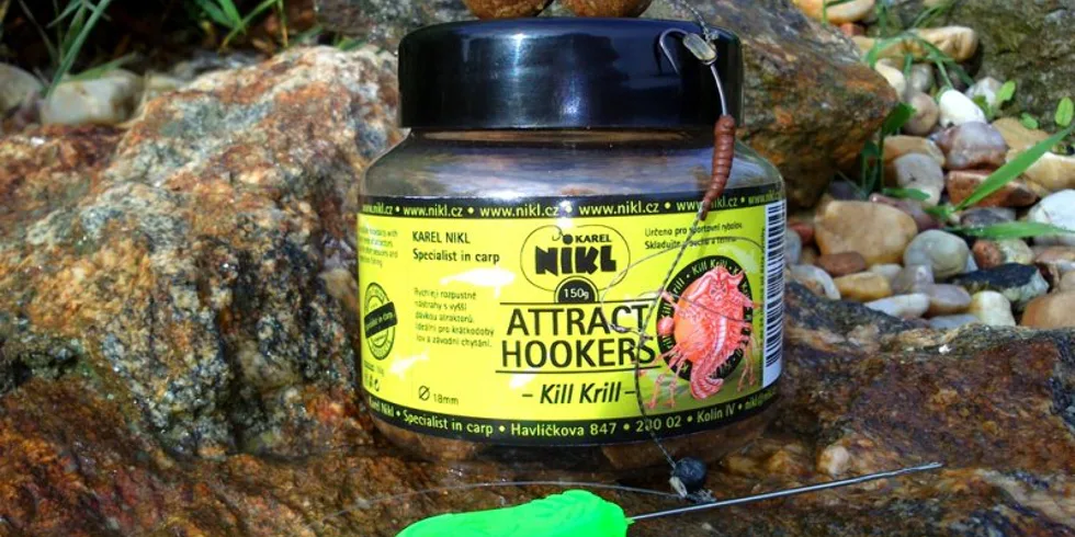 Šestihodinové rychloakce