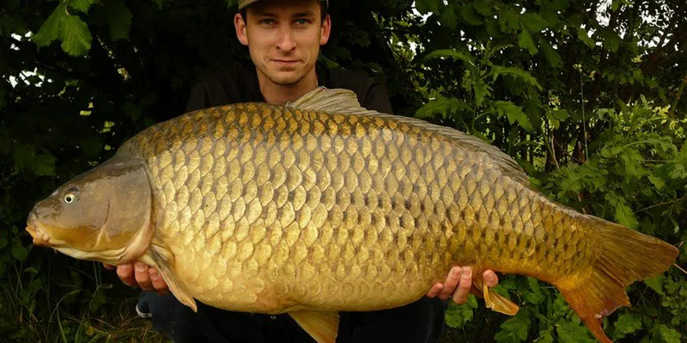 Další zpráva od Matěje