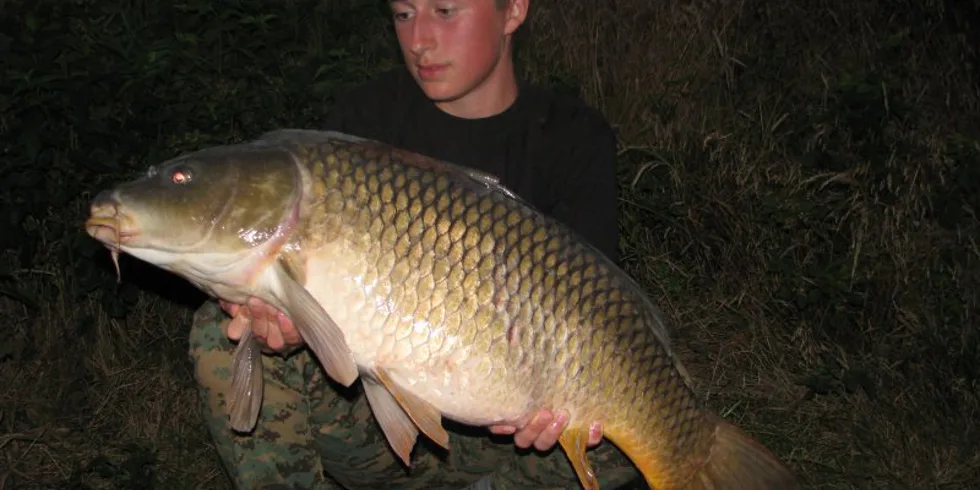 Z týdenní výpravy