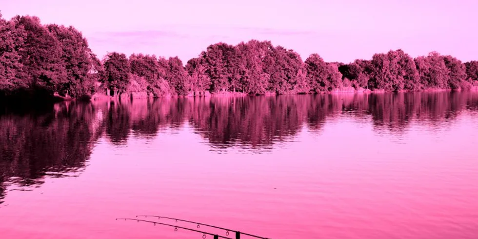 Víkend na červeno ve znamení Krill Berry