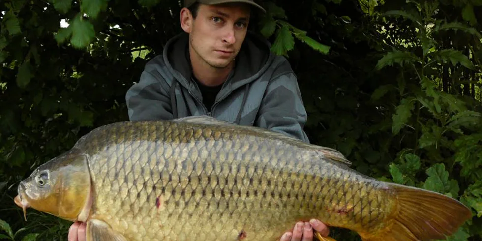 Matějova párhodinovka