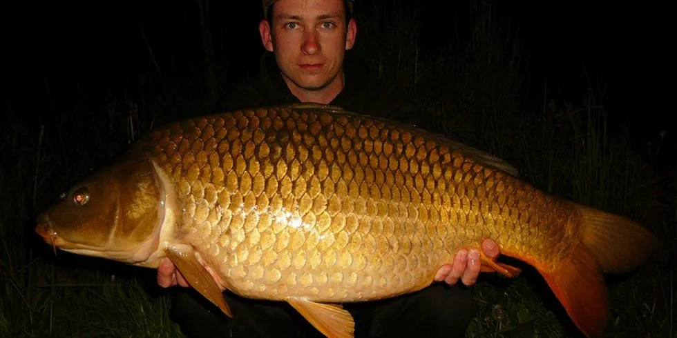 Další zpráva od Matěje