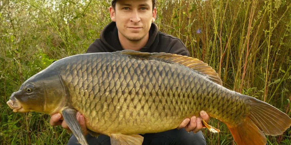 Matějův kolotoč úspěchů...