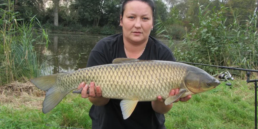 Ze Stčedních Čech