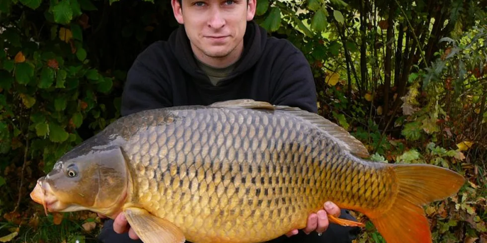 Opět na pár hodin...