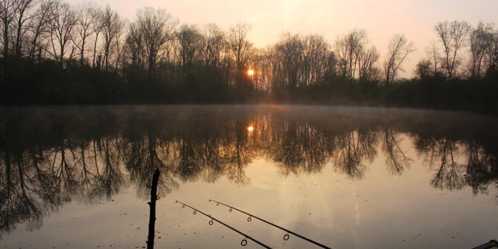 Letošní jaro Honzy Hořenka...