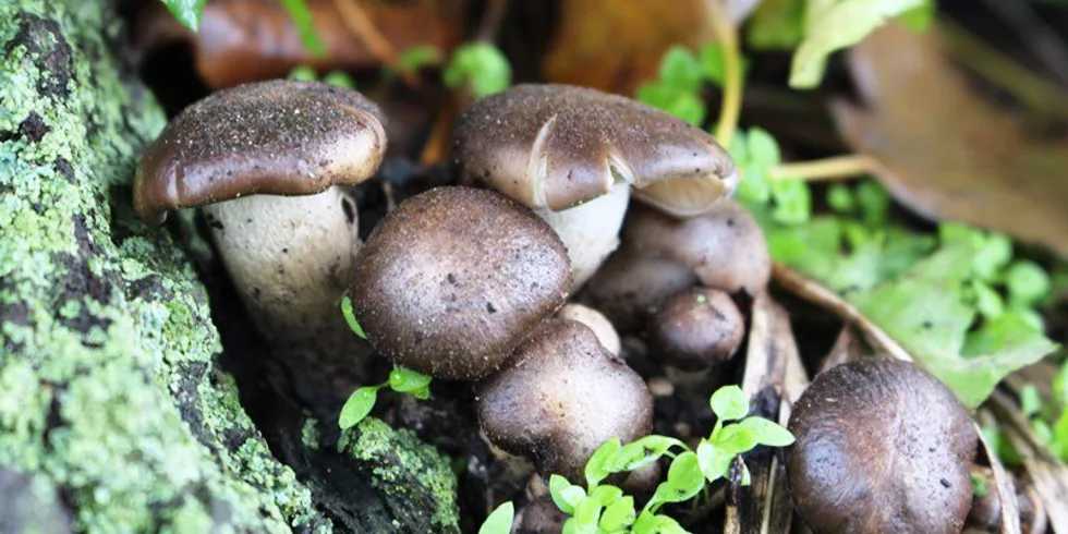 Honza na přehradě...