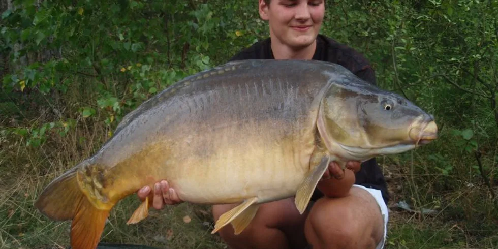 Loňské léto v podání  - Honza Lenc, Martin Zejmon a Kuba Voves