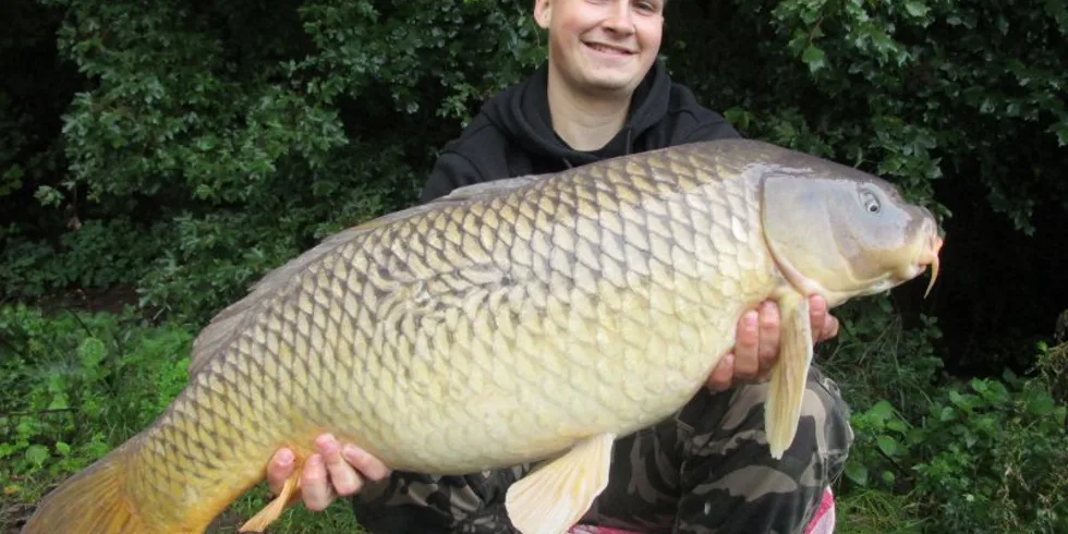 Krátkodobé vycházky