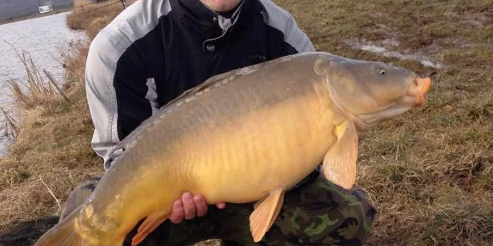 První úspěchy na Angry Plum