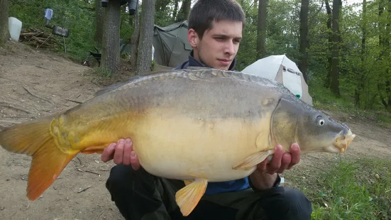 Dešná s náboji od K.Nikla